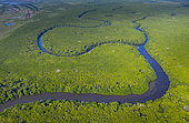 Mangrove, La Tovara National Park, Ramsar Site, Wetlands of International Importance, San Blas Town, Matanchen Bay, Pacific Ocean, Riviera Nayarit, Nayarit state, Mexico, Central America, America