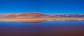 Patterns, Aerial View, Laguna Carachi Pampa, El Peñón village, La Puna, Argentina, South America, America