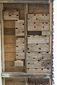 Nesting boxes for common swifts under the slope of a roof in summer, Vosges, France