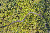 Road of the Vosges mountains in summer, France