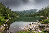 Corbeaux Lake in summer, Vosges, France