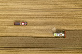Harvesting a barley field in summer, Côte d'Opale, Pas de Calais, France