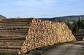 Roadside storage of coniferous wood, Doubs, France