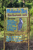 Entrance to the Mabamba reserve to see the Nile shoebill (Balaeniceps rex), which feeds mainly on lungfish (protoptera = bony lung fish that bury themselves in the mud when water runs out, Mabamba marshes, Uganda