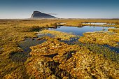 Moorland covered by water channels, with Hoven mountain tops in the background, Vågan, Lofoten, Nordland, Norway, Europe