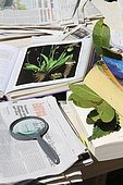 Herbarium, observation, composition, protection, manufacture, constitution, realization, France