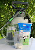 Spraying a milk-based powdery mildew treatment