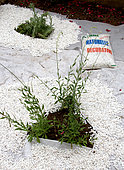 Preparation of a small garden with protective film for maintenance-free planting