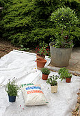 Preparation of a small garden with protective film for maintenance-free planting