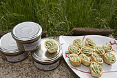 Breeding yards for Gros Gris snails (Helix aspersa maxima), processed products, Escargotière des Chenes, Champagney, Haute-Saone, France