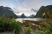 Mitre Peak, fjord landscape at Milford Sound, Fiordland National Park, Te Anau, Southland, South Island, New Zealand, Oceania