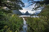 Mitre Peak, fjord landscape, Milford Sound, Fiordland National Park, Te Anau, Southland, South Island, New Zealand, Oceania