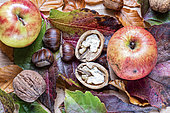 Autumn Still Life: Apples, Walnuts and Chestnuts on Vine Leaves