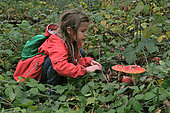 Girl observing fly agaric or false spiny moth (Amanita muscaria), forest, Malsaucy and Véronne ponds trail, Sermamagny, Territoire de Belfort, France