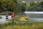Girl observing birds through binoculars, Étang de la Véronne, Etangs du Malsaucy et de la Véronne trail, Sermamagny, Territoire de Belfort, France