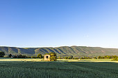 shed in the North of the Grand Luberon, Cereste, Alpes de Haute Provence, France