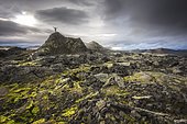 Man on a hill in a black lava field with green moss stretching hands into the dramatic sky, Leihrnjukur in the Krafla, Skútustaðir, Norðurland eystra, Iceland, Europe