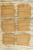 Test of different compositions of raw clay coatings on reeds, France