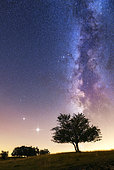 Jupiter, Saturn and the Milky Way over the Jura Mountains, Crêtes du Grand Colombier, South of the Jura Massif, France