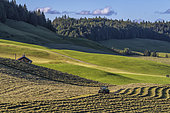 Hay harvesting in the Jura, Bellecombe region, in the south of the Jura massif, France