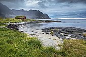 Red wooden house on grassy rocky coast, Rystad, Kleppstad, Lofoten, Nordland, Norway, Europe