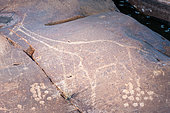 San or Bushman Petroglyph (rock engraving) of a South African giraffe or Cape giraffe (Giraffa giraffa giraffa). Northern Cape. South Africa.