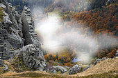 Frankenthal Nature Reserve, Honeck Massif in autumn, Ballons des Vosges Regional Nature Park, France