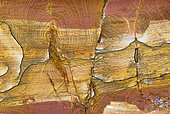 Banded formations on a wall of a former iron mine gallery in sandstone, Vosges du Nord Regional Nature Park, France
