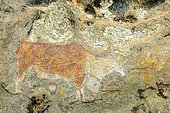 San or Bushman rock art on a sandstone cave wall near Clarence. Free State. South Africa.