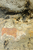 San or Bushman rock art on a sandstone cave wall near Clarence. Free State. South Africa.