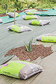 Creation of a dry garden (garden of succulents and plants without watering) on canvas camouflaged with pozzolana.