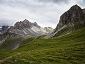 Ascent of La Tourne, Hiking on the GR5 trail, above the Rosuel hut, Vanoise NP, Alps, France