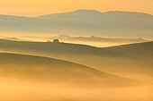 Morning atmosphere in Tuscany, hilly landscape with fog glowing in first light at sunrise, Val d'Orcia, Tuscany, Italy, Europe