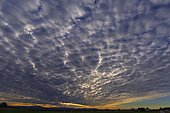 Dense cloud cover (Stratocumulus) in the evening sky, Bautzen, Oberlausitz, Saxony, Germany, Europe