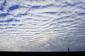 Stripy cloud formation, mackerel sky (Stratocumulus undulatus), Lower Saxony, Germany, Europe
