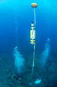 Installation of an acoustic recorder for the study of the frequentation and impact of acoustic diving, in the Natural Marine Reserve of Cerbère-Banyuls, Pyrénées-Orientales, Occitania, France
