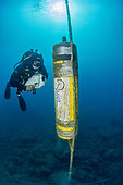 Scuba diver in front of an acoustic recorder installed for the study of the frequency and impact of acoustic diving, Pyrénées-Orientales, Occitania, France
