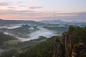 Morning fog in the Wehlgrund valley, view from Ferdinandstein, Bastei, Saxon Switzerland, Saxony, Germany, Europe