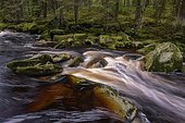 Autumn at the Vydra with huge boulders in the riverbed, Sumava National Park, ?umava, Czech Republic, Europe