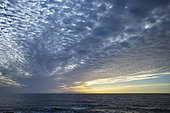 Dramatic cloudy sky, evening mood at the sea, in the back the island El Hierro, Valle Gran Rey, La Gomera, Canary Islands, Spain, Europe