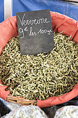 Verbena dried on a market in summer, Provence, France