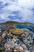 Split level of the Mayotte lagoon