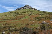 Le Mondarrin (749m),site classé Natura 2000 depuis 2013,en raison de sa biodiversité et ses tourbières d'altitude, Pays Basque, France