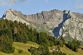 Aravis chain, Haute Savoie, Alps, France