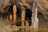 Oselle, Grotto, discovered in the 13th century, straddling the Doubs and the Jura, stalagmite and stalactite, Doubs, France