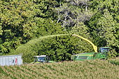 Mowing but to make silage, Brognard, Doubs, France