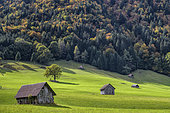 Wooden huts typical of the Chatelard region for storing hay, Savoie, Alps, France