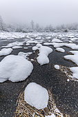 Pond in the heart of winter, La Crusille, Bugey, Ain, France