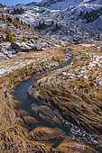The Eaux Tortes upstream of the Vallon de Laverq, in Ubaye. The glacial cirque and the valley bottom of Les Eaux Tortes, at 2250 meters of altitude, are the result of the melting of a piece of the glacier de la Blanche. An interweaving of channels has carved peat bogs where a particular vegetation, adapted to this cold and humid altitude environment, has developed (rushes, sedges, mosses...). Vallon de Laverq, Alpes de Haute Provence, France