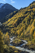 Vallon de Laverq in autumn, Ubaye, Alpes de Haute Provence, France